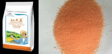 果實膨果著色正當(dāng)時 捷農(nóng)新型肥料更高效 組圖