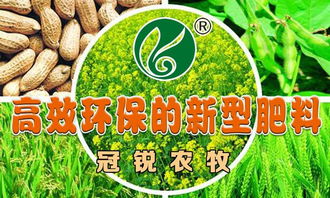 高效環(huán)保的新型肥料