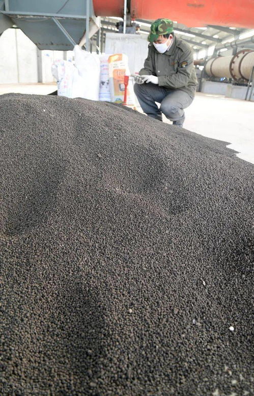 正式回應(yīng) 這些新型肥料 將獲國家政策支持