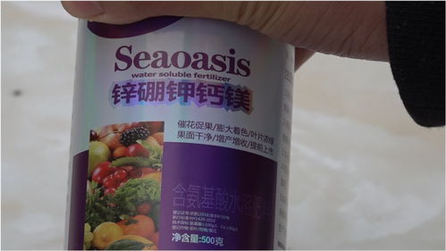 新買的新型肥料,看看有何作用,效果如何