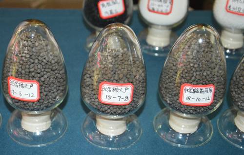 地力下降怎么拯救 桉樹種植戶看過來