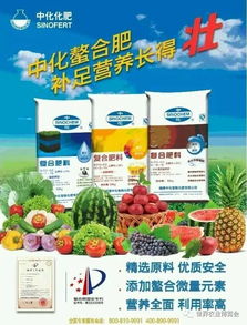 首屆黃淮海農(nóng)資英雄榜揭曉 春秋季農(nóng)作物高產(chǎn)配套肥料品牌產(chǎn)品上榜名單暨觀摩展示 40家