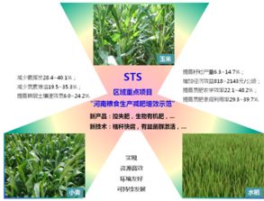 合肥研究院控失化肥減肥增效機制研究取得進展