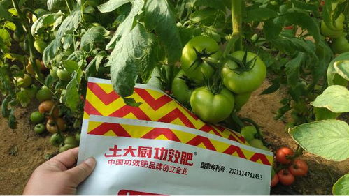 微生物菌肥生產廠家,謹慎選擇