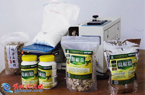 黃田鎮浩洞村 發展粉葛產業 助力村民增收