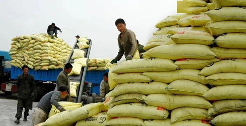 2022年農(nóng)資生意,怎么做才不會累