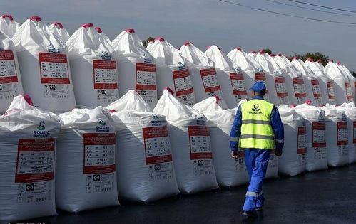 扛著糧食坐飛機 韓國人,為何快吃不起大米了