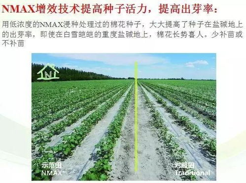 nmax肥料增效劑,肥料升級換代新選擇,趕快報名免費試用啦