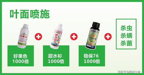 微新生物柑橘公開(kāi)課 11月份砂糖桔管理重點(diǎn)和營(yíng)養(yǎng)方案