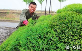 農(nóng)村又增3項補貼