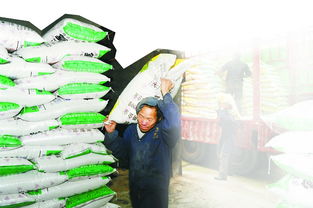 化肥寒冬中新型肥料及增效劑的崛起與預期