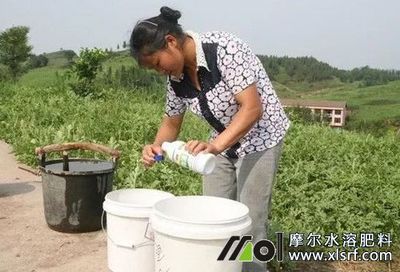農藥與水溶肥混用效果及新型肥料增效劑應用指南